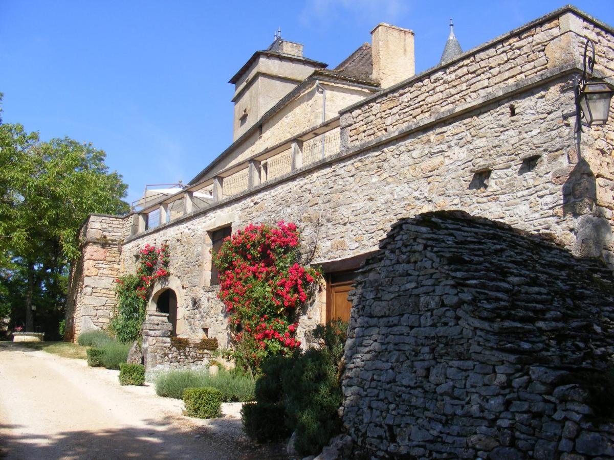 Chateau De Laumiere Promilhanes Exterior foto